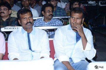 Pandaga Chesko Movie Audio Launch